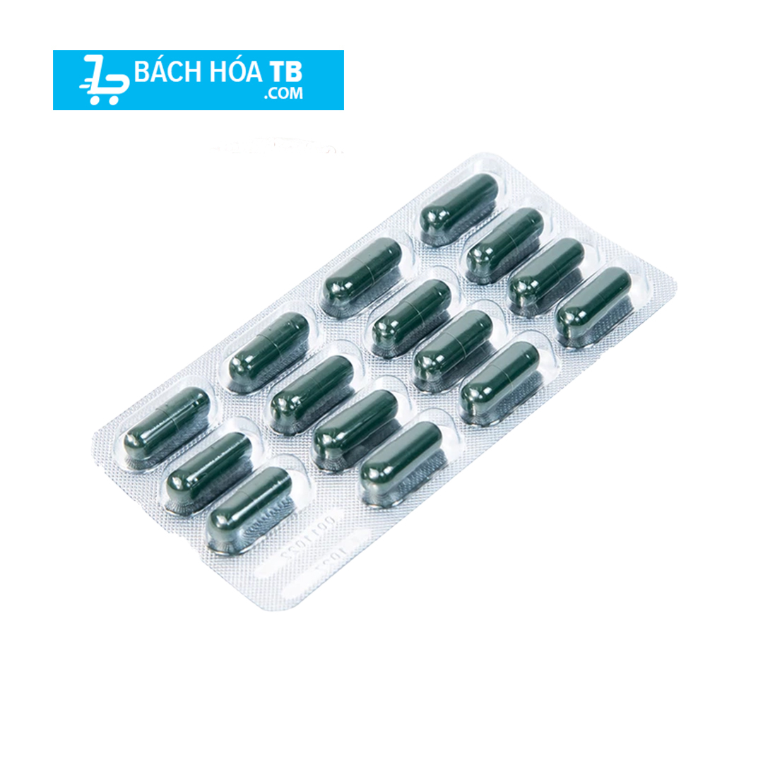 Dạ Minh Châu - Viên thảo dược giảm tiểu đêm, bổ thận dương, cố tinh