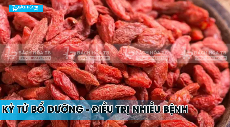 Câu kỷ tử trị bệnh