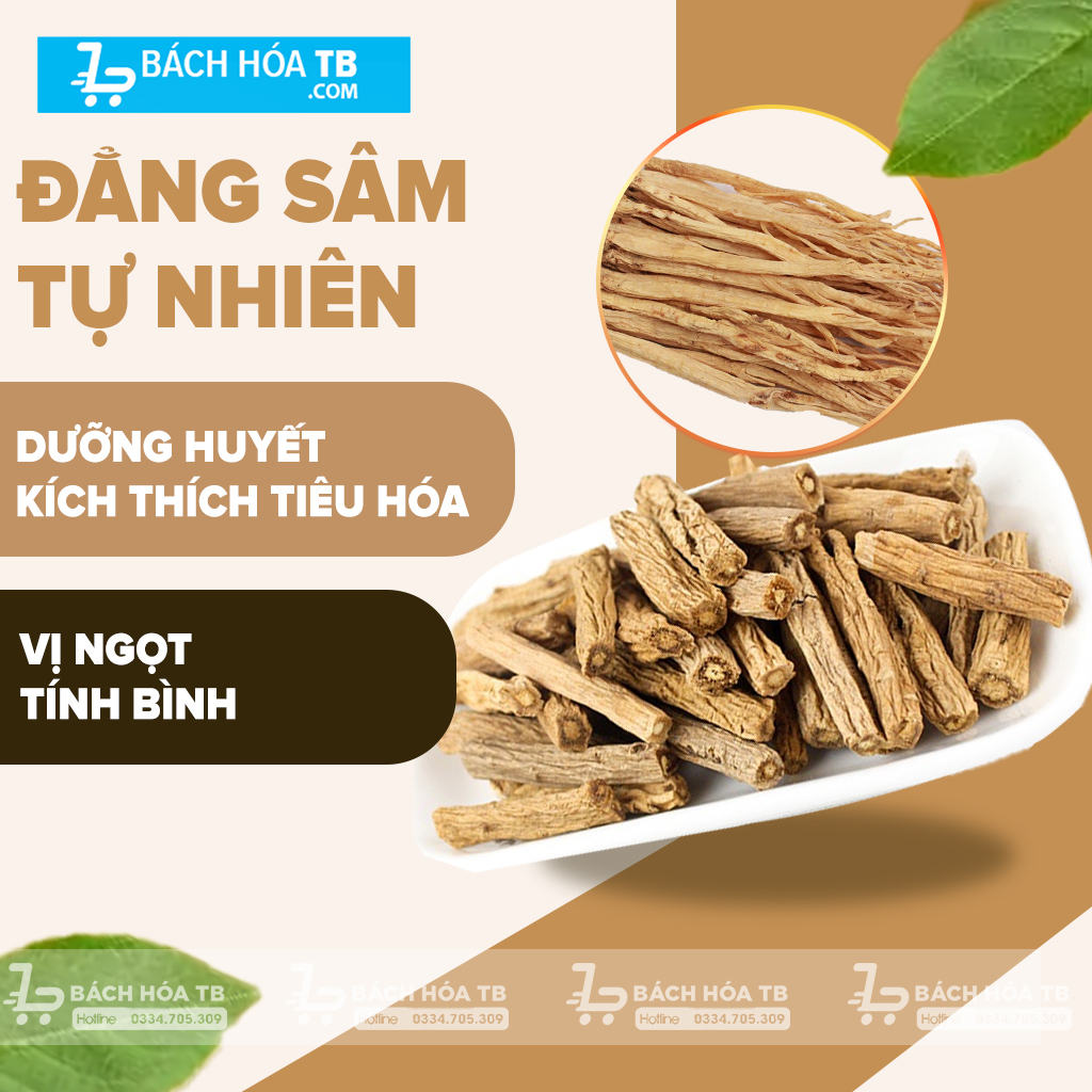 Đẳng Sâm - Dược Liệu Quý trong Y Học Cổ Truyền