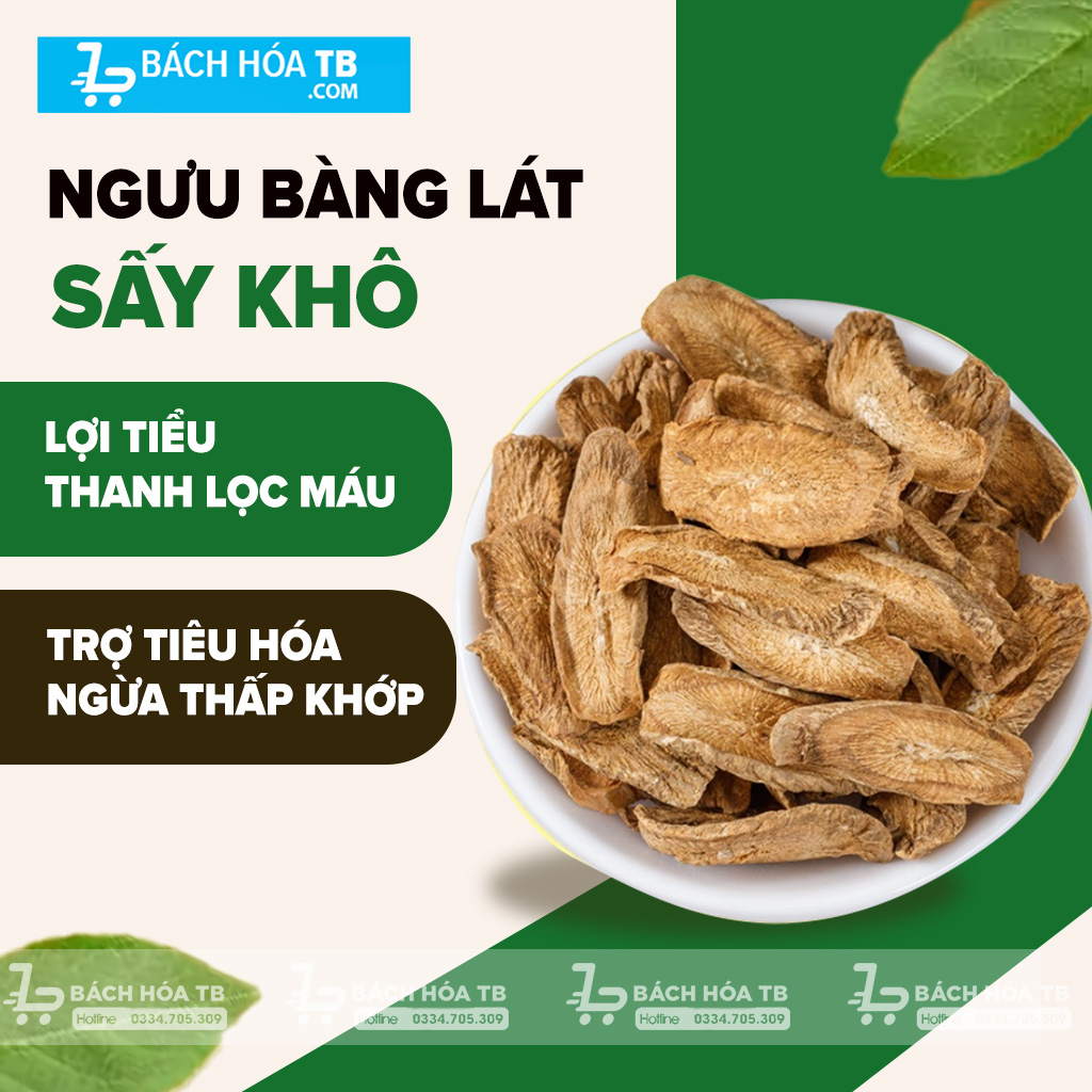 Ngưu Bàng Khô Thái Lát