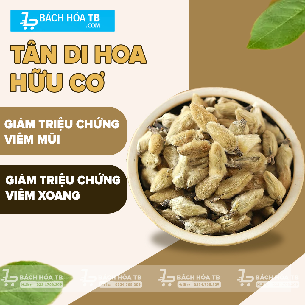 Tân Di Hoa - Dược Liệu Quý Hỗ Trợ Điều Trị Viêm Mũi và Viêm Xoang